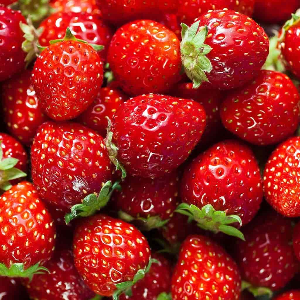 Hikari Ingredient